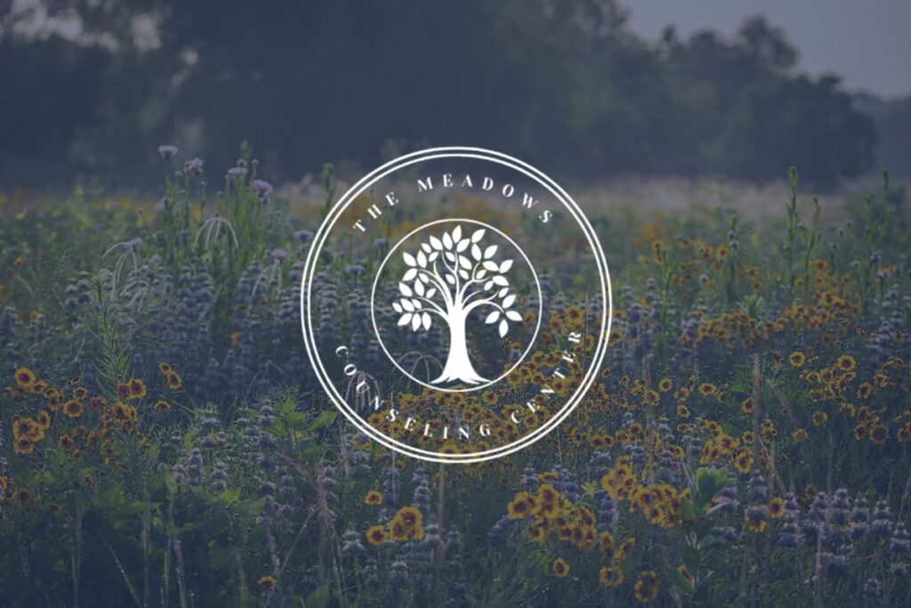 The Meadows Counseling Center logo set against a photo of a flowery meadow