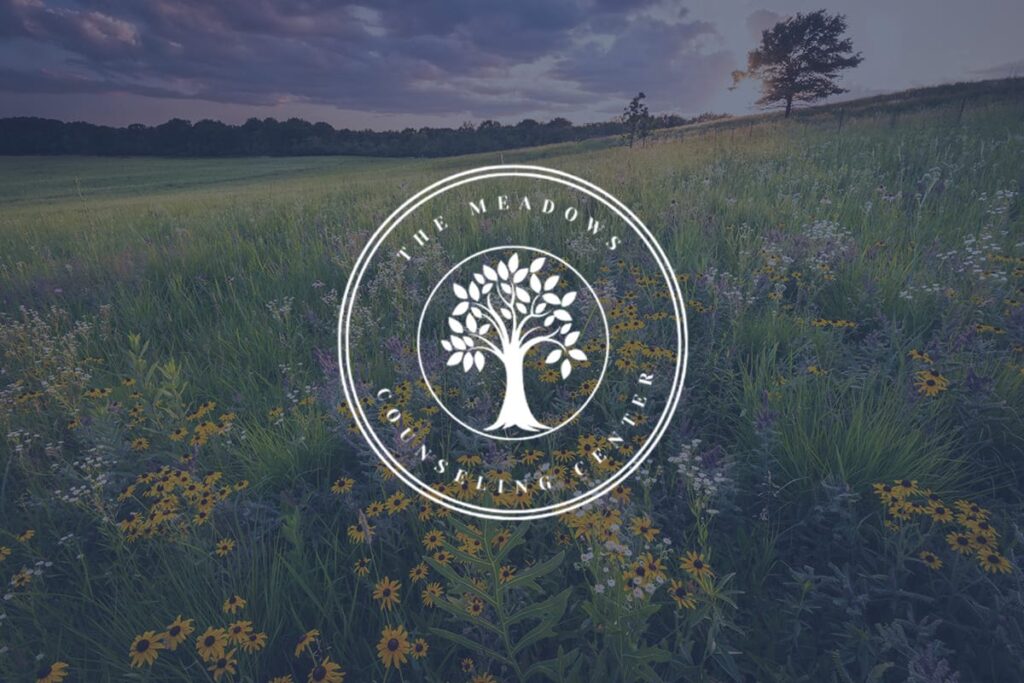 The Meadows Counseling Center logo set against a photo of a flowery meadow